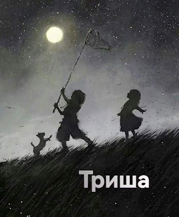 Обложка произведения Триша