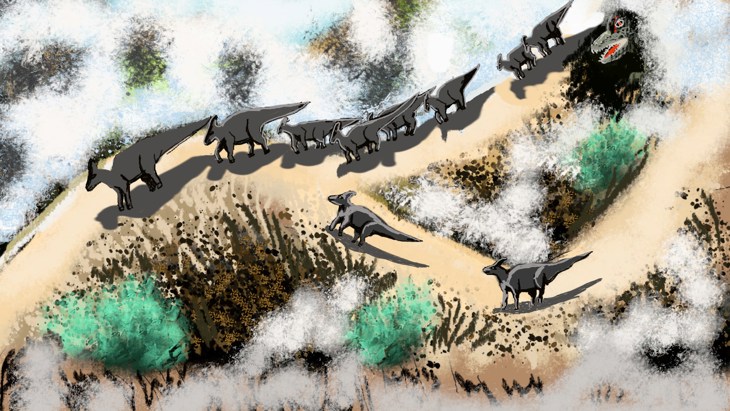 Иллюстрация