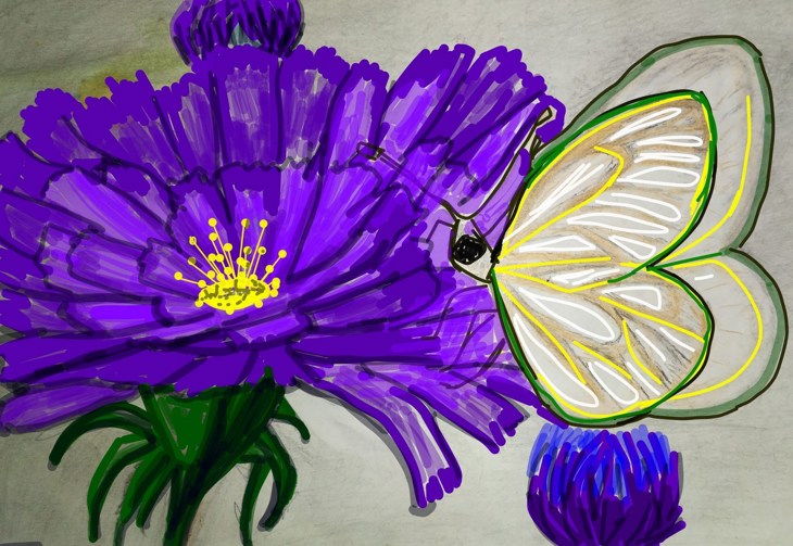 Иллюстрация