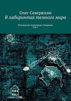 Обложка произведения В лабиринтах темного мира. Книга 1