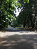 Обложка произведения Золото Фортуны