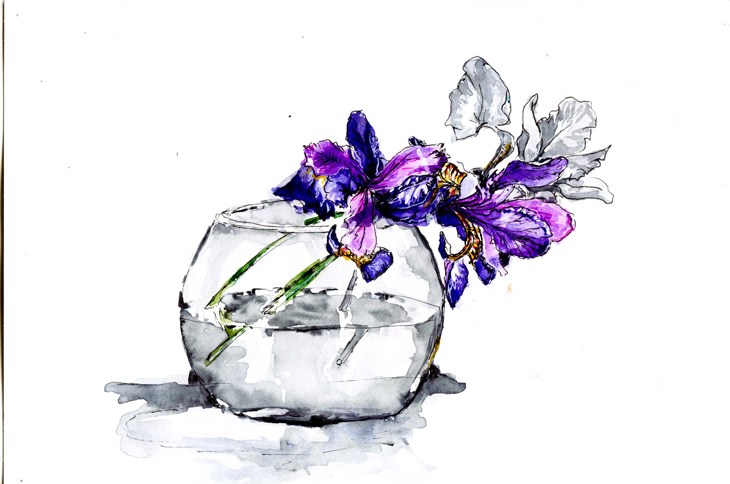 Иллюстрация