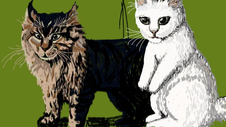 Иллюстрация