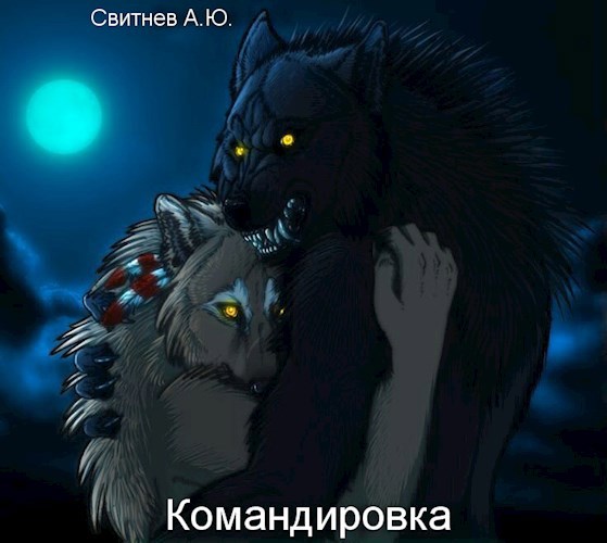 Обложка произведения Командировка
