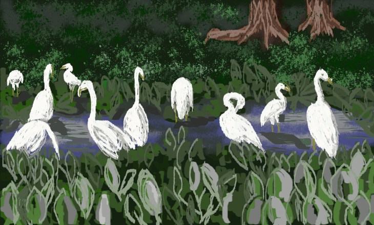 Иллюстрация