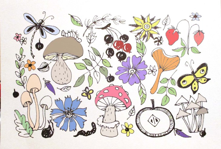 Иллюстрация