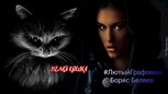 Обложка произведения Белая кошка