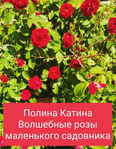 Обложка произведения Волшебные розы маленького садовника