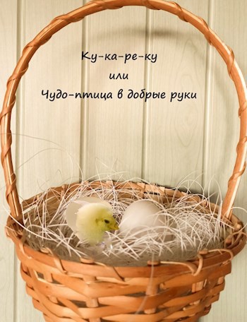 Обложка произведения Ку-ка-ре-ку или Чудо-птица в добрые руки.