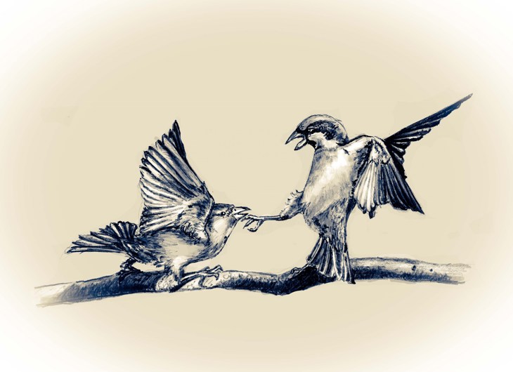 Иллюстрация