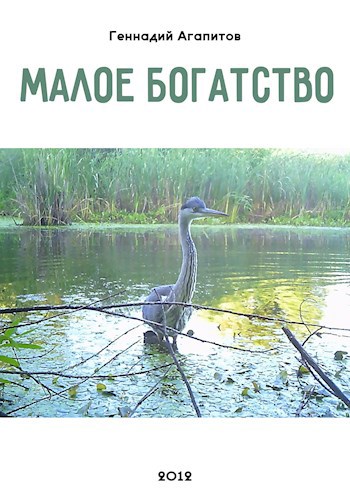 Обложка произведения Малое богатство
