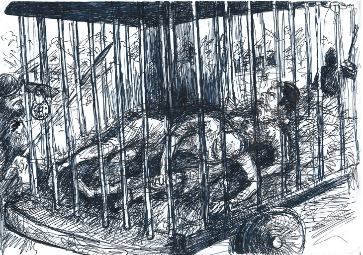 Иллюстрация