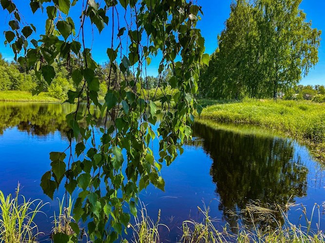 Обложка произведения Курортный роман, обернувшийся свадьбой.