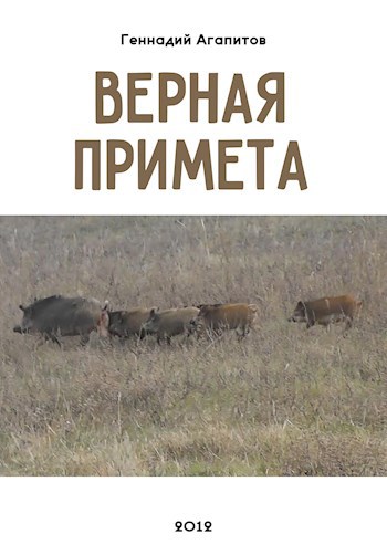 Обложка произведения Верная примета