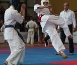 Обложка произведения Ашихара-каратэ - школа реального поединка