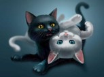 Обложка произведения Три кошачьи истории
