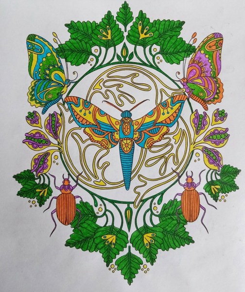 Иллюстрация