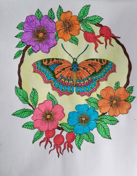 Иллюстрация