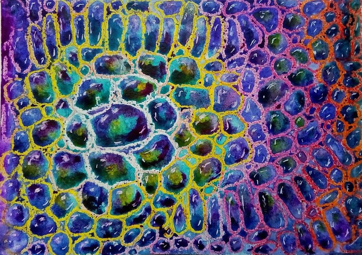 Иллюстрация