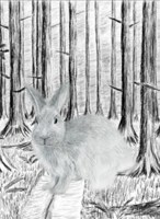 Обложка произведения Кролик и его история