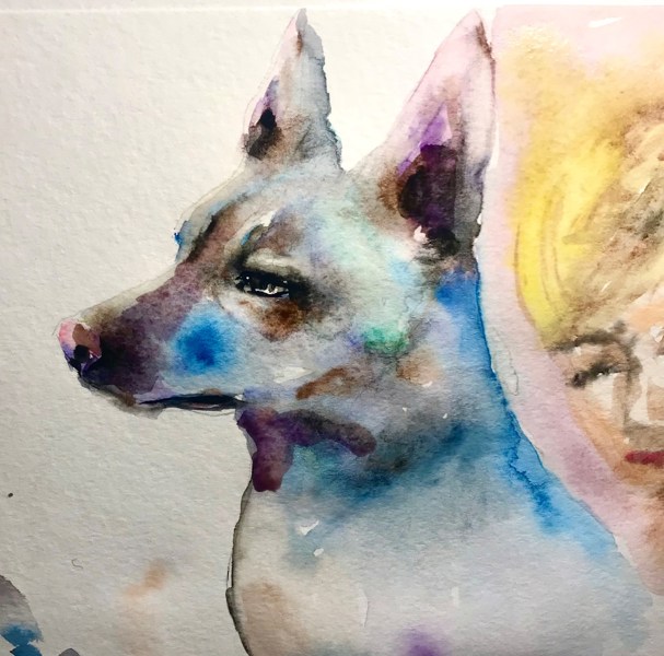 Иллюстрация