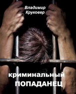 Обложка произведения Криминальный попаданец
