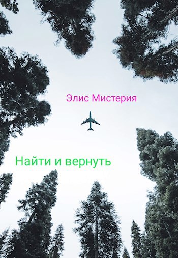 Обложка произведения Найти и вернуть