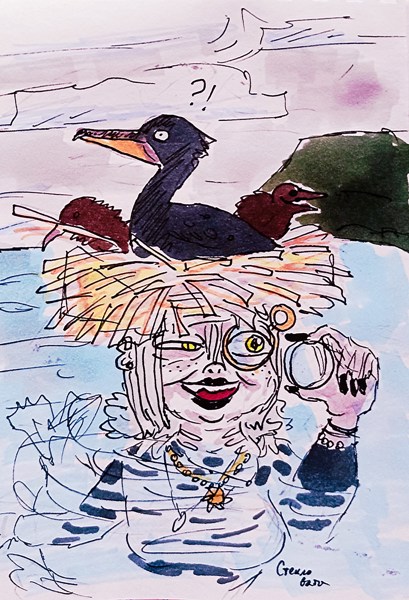 Иллюстрация