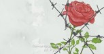 Обложка произведения Солнце продолжает светить