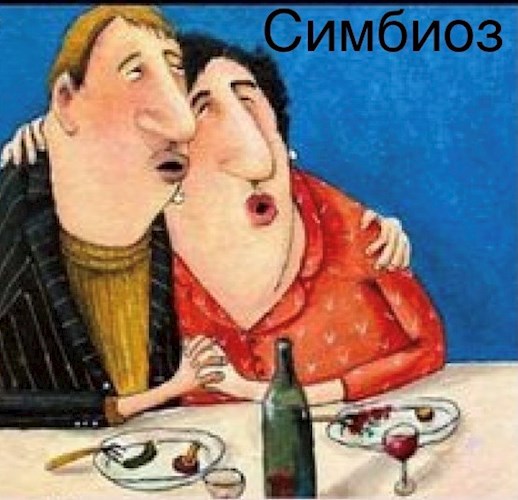 Обложка произведения Роза Марковна и Симбиоз