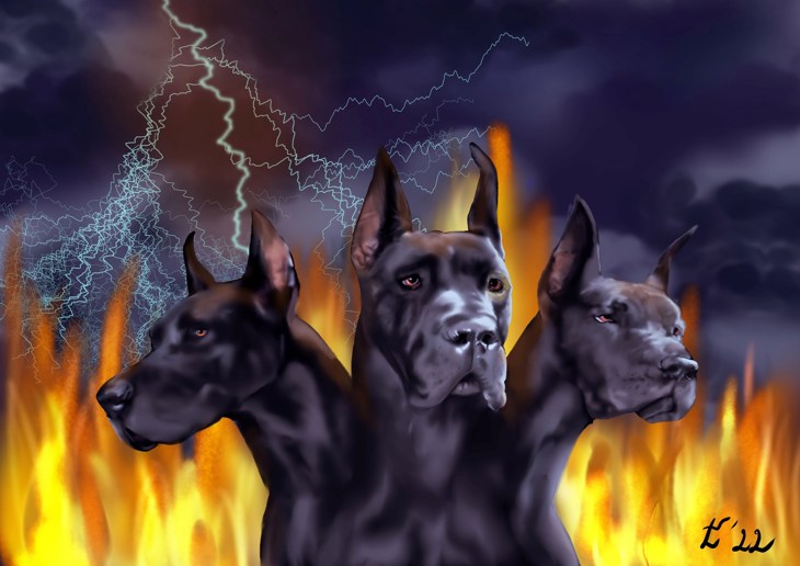 Иллюстрация