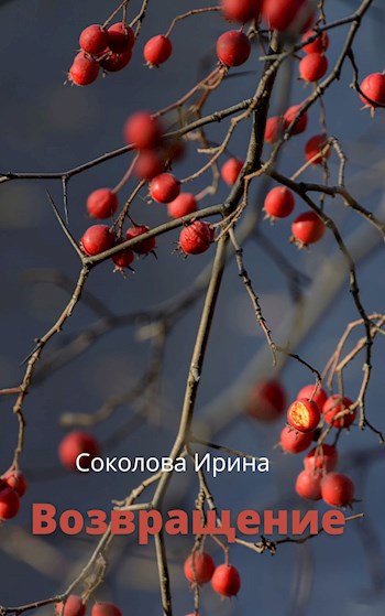Обложка произведения Возвращение