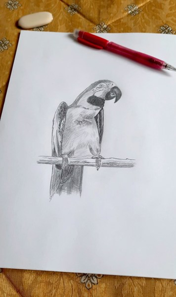 Иллюстрация