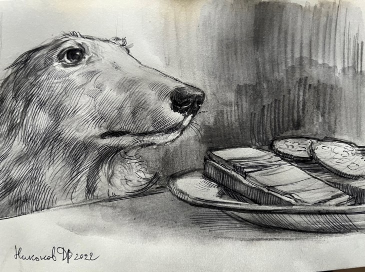 Иллюстрация