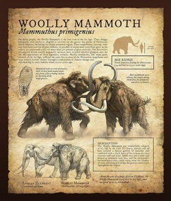 Woolly Mammoth.
