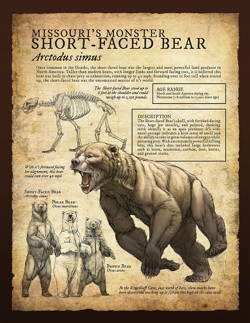Short  Faced Bear.