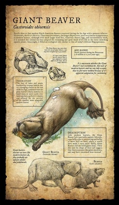 Giant Beaver.