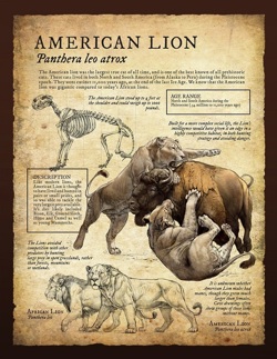 American Lion.