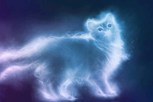 Обложка произведения Кошки всякие нужны, кошки всякие важны