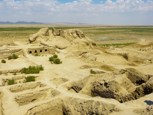 Обложка произведения Горький виноград