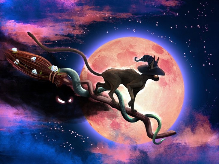 Иллюстрация