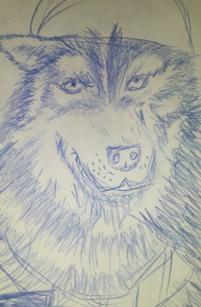 Иллюстрация