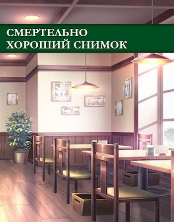 Обложка произведения Смертельно хороший снимок