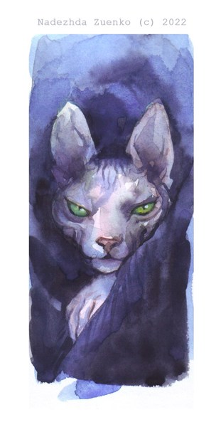 Иллюстрация