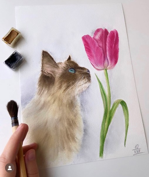 Иллюстрация