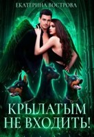 Обложка произведения Крылатым не входить!