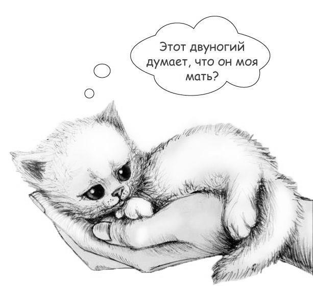 959dc81e33d44959908e0b7f93e1820d.jpg?width=750&height=350&mode=min