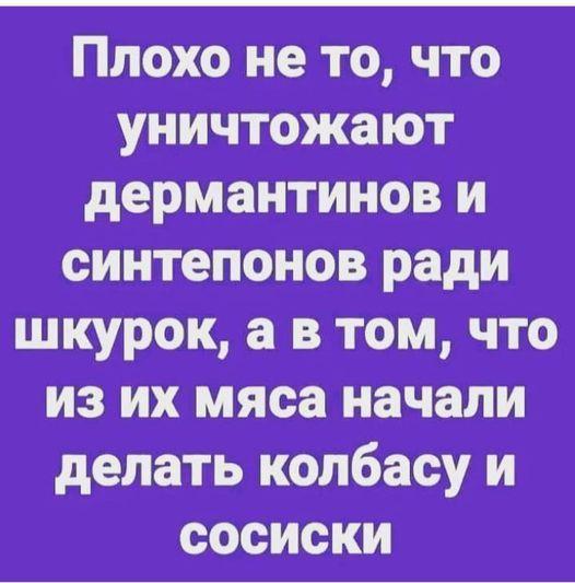 Ты помнишь помидоры за окном и дермантин облезлого дивана