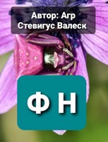 Обложка произведения Ф Н