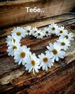 Обложка произведения Тебе..